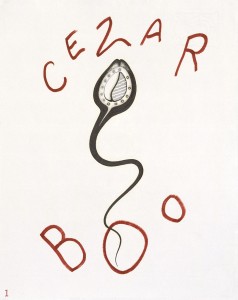 Cezar Boo : 1