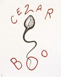 Cezar Boo : 1